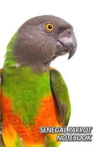 Senegal Parrot Notebook