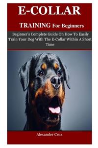 E-collar Training For Beginners