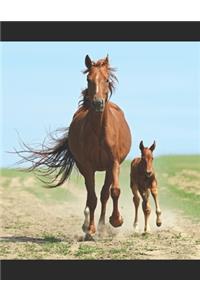 Beautiful Horses Notebook