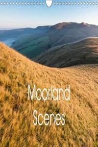 Moorland scenes 2016