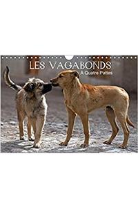 Les Vagabonds a Quatre Pattes 2017