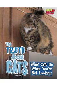 The Truth about Cats