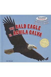 Bald Eagle / El Águila Calva