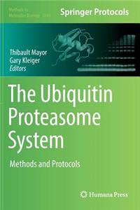 Ubiquitin Proteasome System