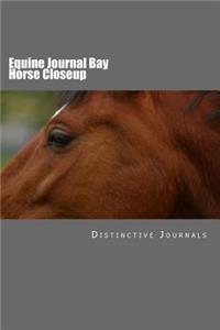 Equine Journal Bay Horse Closeup