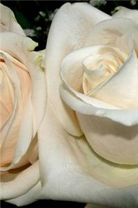 Journal Flowers Pretty White Roses
