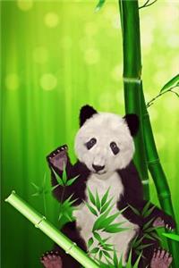 Panda Bear with Bamboo Illustration Journal