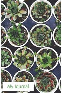My Journal