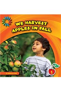 We Harvest Apples in Fall