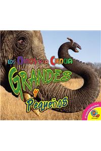 Grandes y Pequenos