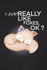 I Just Realy Like foxes ok: A cool gift to the person that came to your mind right now he might like it.