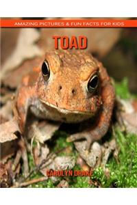 Toad