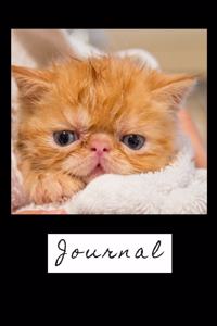 Journal