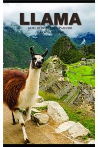 llama Note Monthly 2020 Planner 12 Month Calendar