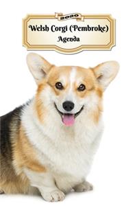 2020 Welsh Corgi (Pembroke) Agenda