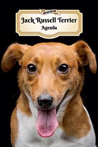 2020 Jack Russell Terrier Agenda