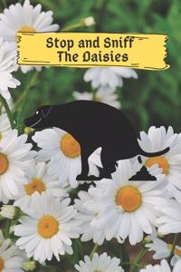 Stop and Sniff The Daisies