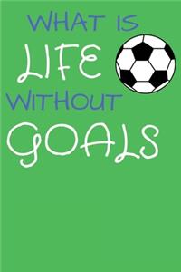 What Is Life Without Goals