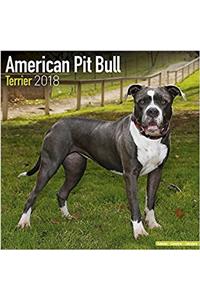 American Pit Bull Terrier Calendar 2018