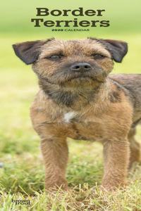 Border Terriers 2020 Slim Calendar