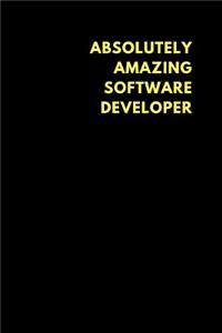 Absolutely Amazing Software Developer