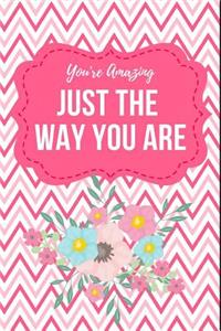 You're Amazing Just the Way You Are