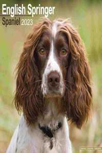 Eng Springer Spaniel (Euro) 2023 Wall Calendar
