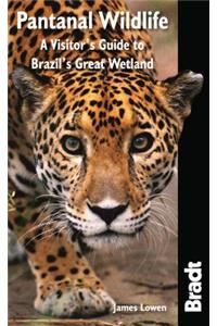 Pantanal Wildlife: A Visitor's Guide to Brazil's Great Wetland