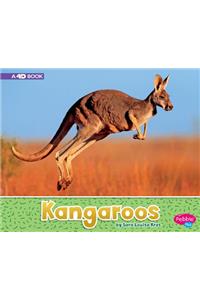Kangaroos