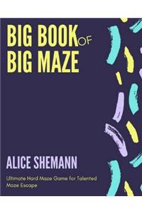 Big Book of Big Maze