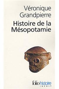Histoire De La Mesopotamie