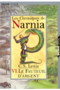 Tome 6. Le fauteuil d'argent