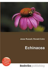 Echinacea