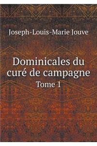 Dominicales du curé de campagne Tome 1