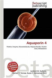Aquaporin 4