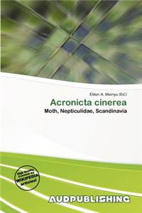 Acronicta Cinerea
