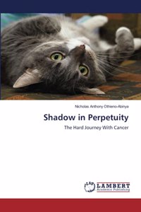 Shadow in Perpetuity
