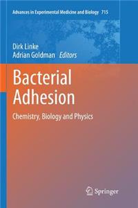 Bacterial Adhesion: Chemistry, Biology and Physics