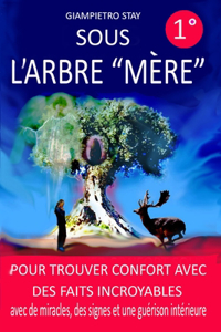 Sous l'Arbre Mère