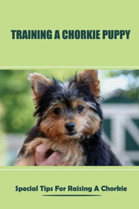 Training A Chorkie Puppy