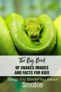 The Big Book Of Snakes Images And Facts For Kids Things You Should You About Snakes