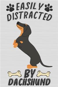Easily Distracted By Dachshund