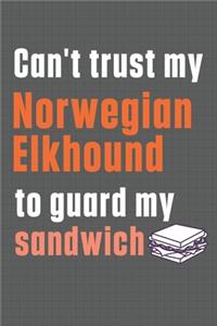 Can't trust my Norwegian Elkhound to guard my sandwich