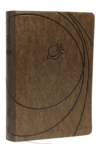 New Spirit-Filled Life Bible, NLT