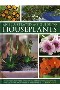 An Illustrated A-Z Guide to Houseplants