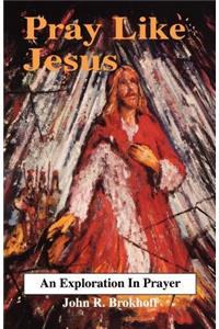 Pray Like Jesus