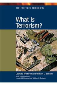 What is Terrorism?