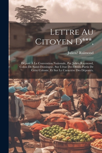 Lettre Au Citoyen D***,