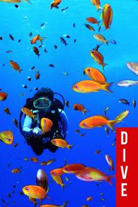 Dive