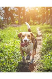 Beagle Dog Notebook: Cute Beagle breed 8x10inch Notebook with 108 quality lined pages